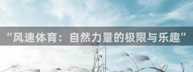 公海赌赌船官网下载平台注册流程图：“风速体育：自然力