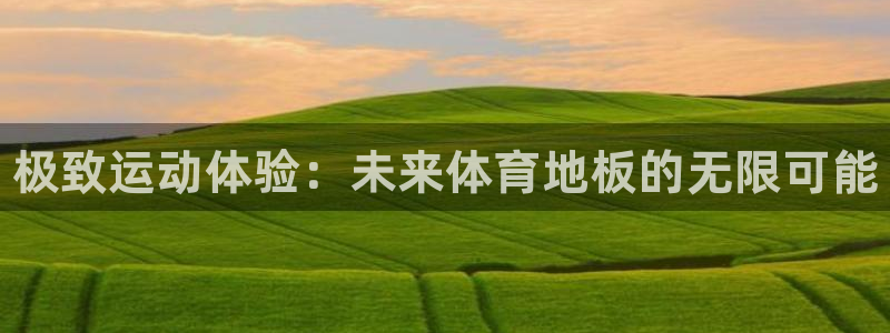 公海赌赌船官网下载平台是正规平台吗：极致运动体验：未