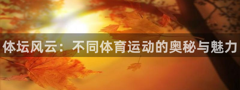 公海赌赌船官网下载平台注册要钱吗：体坛风云：不同体育
