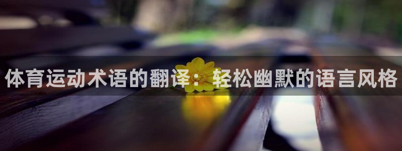 公海赌赌船官方正版app官网：体育运动术语的翻译：轻