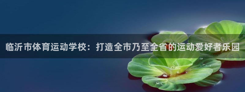 公海赌赌船官方正版app集团官网网址：临沂市体育运动