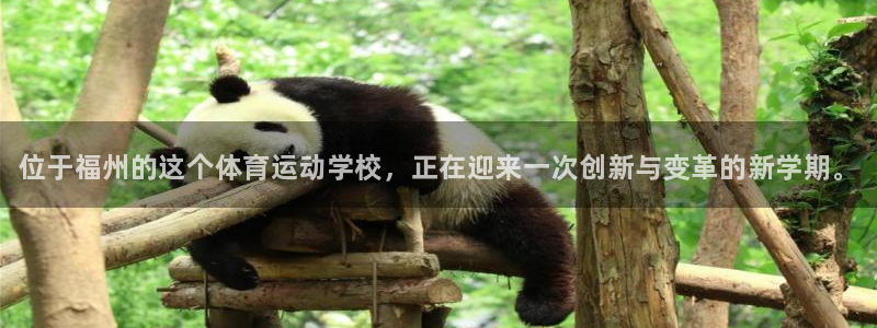 公海赌赌船官方正版app集团官网首页