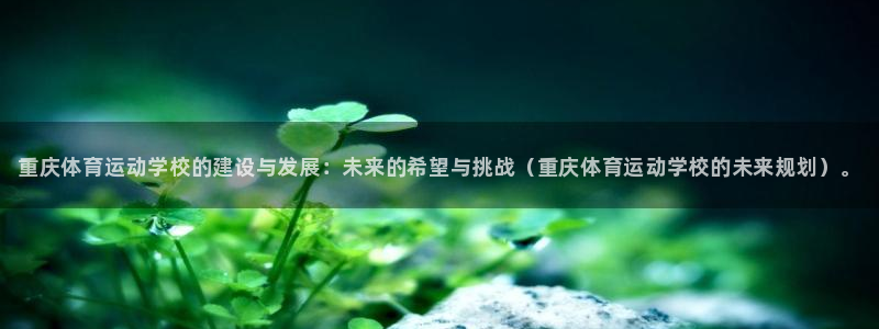 公海赌赌船官网下载平台注册流程图：重庆体育运动学校的