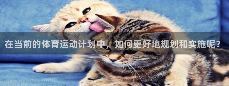 公海赌赌船官网下载平台注册流程视频：在当前的体育运动