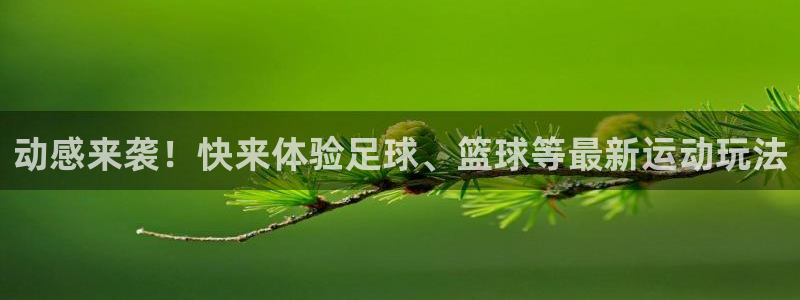 公海赌赌船官方正版app娱乐首页官网下载：动感来袭！快来体验