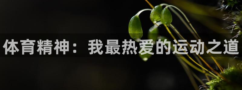 公海赌赌船官网下载注册：体育精神：我最热爱的运动之道