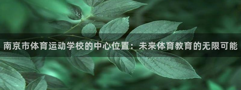 公海赌赌船官方集团官网：南京市体育运动学校的中心位置：未来体