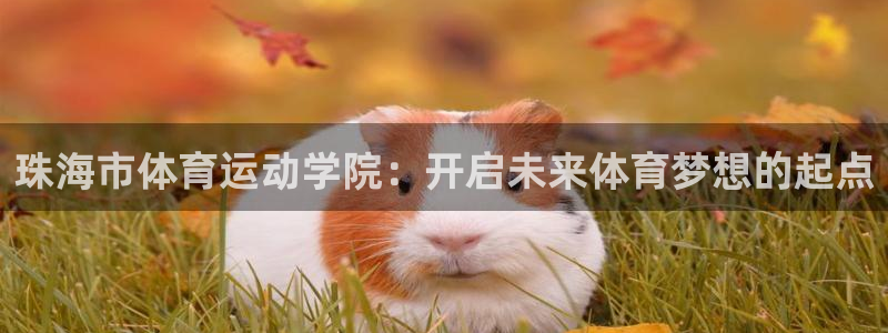 公海赌赌船官方正版app集团简介：珠海市体育运动学院