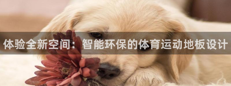 公海赌赌船官方集团官网：体验全新空间：智能环保的体育运动地板