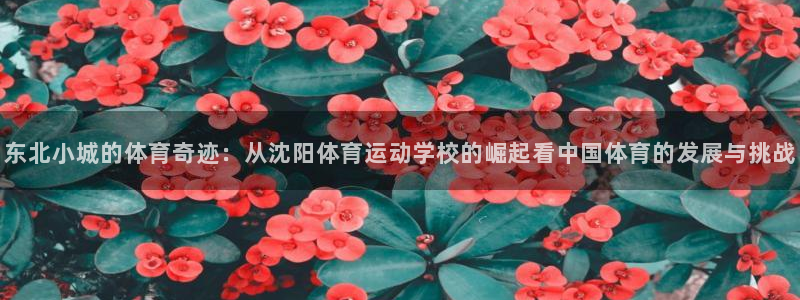 公海赌赌船官网下载官方客服电话：东北小城的体育奇迹：从沈阳体