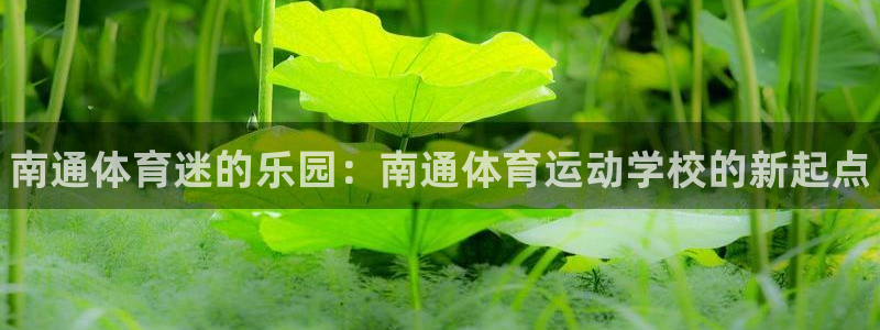 公海赌赌船官网下载平台注册要钱吗安全吗：南通体育迷的乐园：南