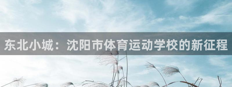 公海赌赌船官方正版app娱乐平台：东北小城：沈阳市体育运动学