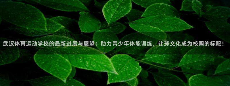 公海赌赌船官网下载招商电话地址是多少：武汉体育运动学校的最新