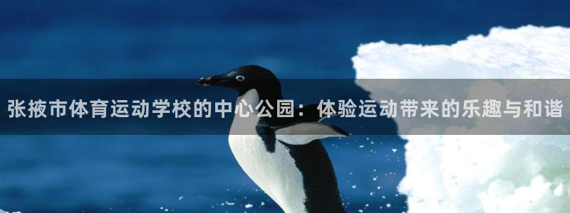 公海用户是什么意思