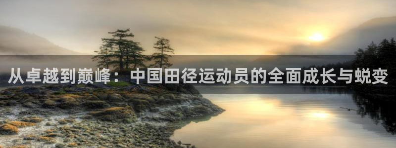 什么叫公海数据：从卓越到巅峰：中国田径运动员的全面成长与蜕变
