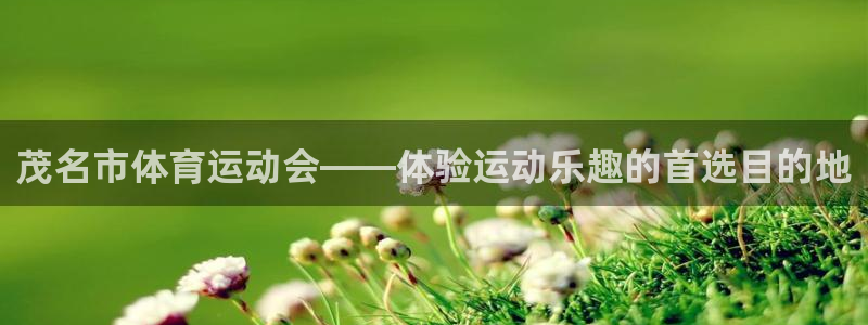公海工作是什么意思：茂名市体育运动会——体验运动乐趣的首选目