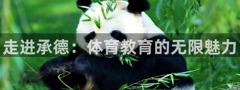 公海赌赌船官网jcjc5500：走进承德：体育教育的无限魅力