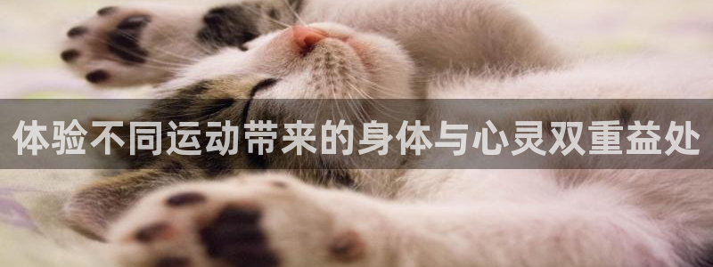 公海数据哪里买：体验不同运动带来的身体与心灵双重益处