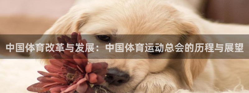  公海网址是多少：中国体育改革与发展：中国体育运动总会的历程与