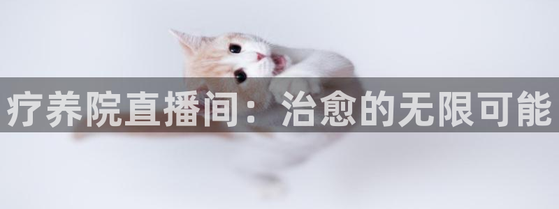 nba直播24直播网：疗养院直播间：治愈的无限可能