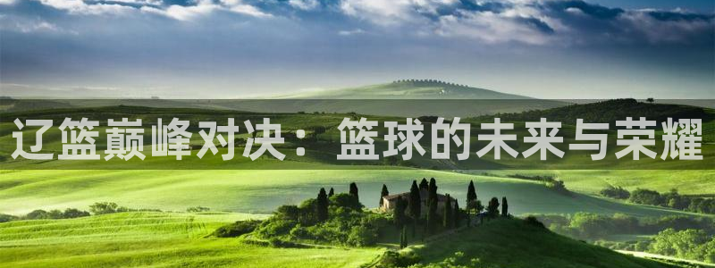 114624直播：辽篮巅峰对决：篮球的未来与荣耀