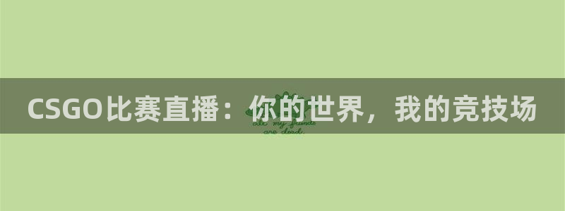 nba在线直播24直播：CSGO比赛直播：你的世界，我的竞技场