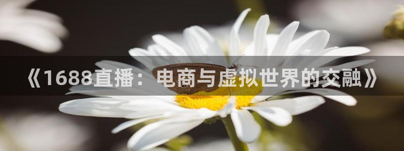 nba直播 24直播：《1688直播：电商与虚拟世界的交融》