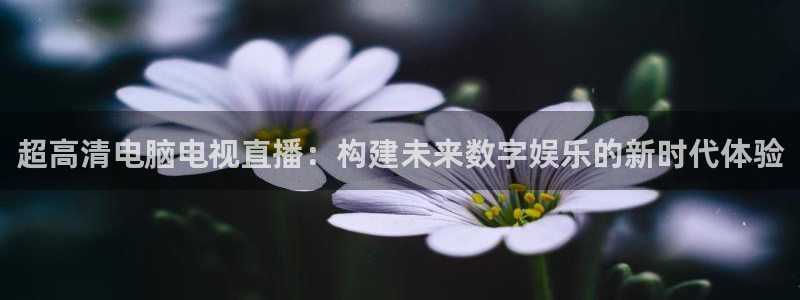 体育直播24直播网：超高清电脑电视直播：构建未来数字娱乐的新时代体验