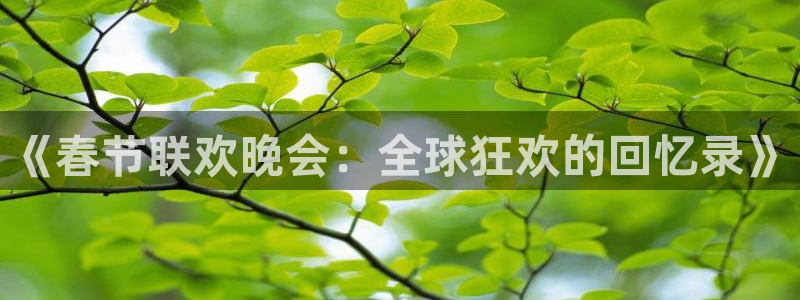 24直播下载：《春节联欢晚会：全球狂欢的回忆录》
