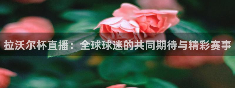 24直播 nba：拉沃尔杯直播：全球球迷的共同期待与精彩赛事