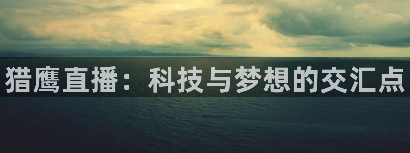 24直播免费篮球直播在线观看：猎鹰直播：科技与梦想的交汇点